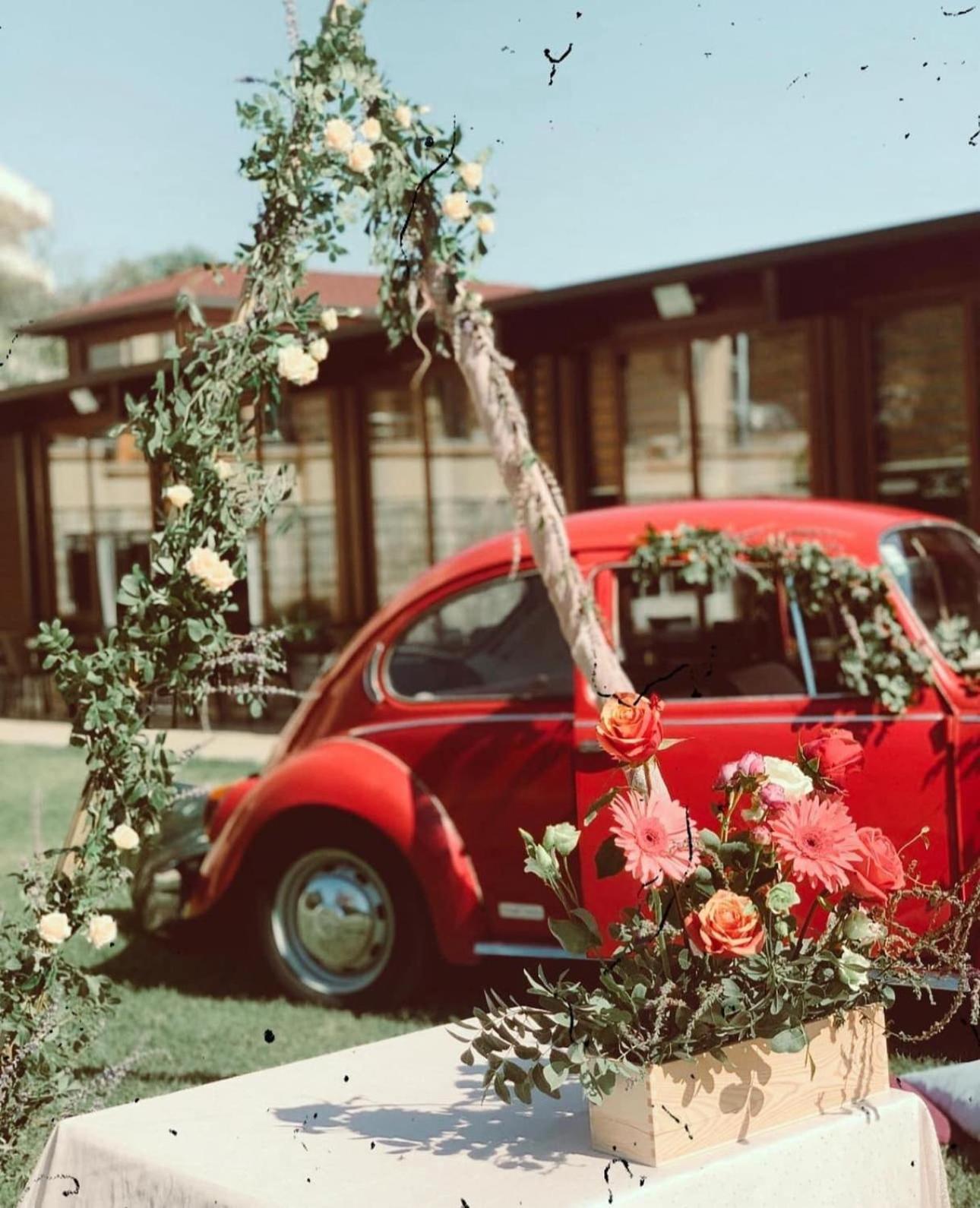 Apart Hotel Llolla Ulcinj Buitenkant foto